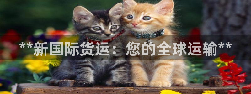 尊龙人生就是博首页：**新国际货运：您的全球运输**