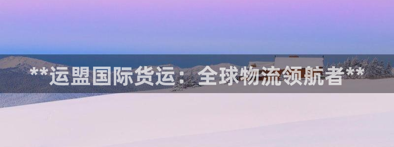 尊龙怎么没消息了：**运盟国际货运：全球物流领航者**