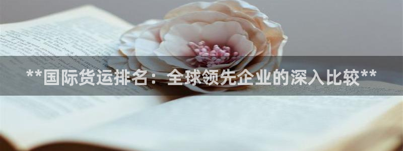 尊龙凯时z6官网：**国际货运排名：全球领先企业的深入比