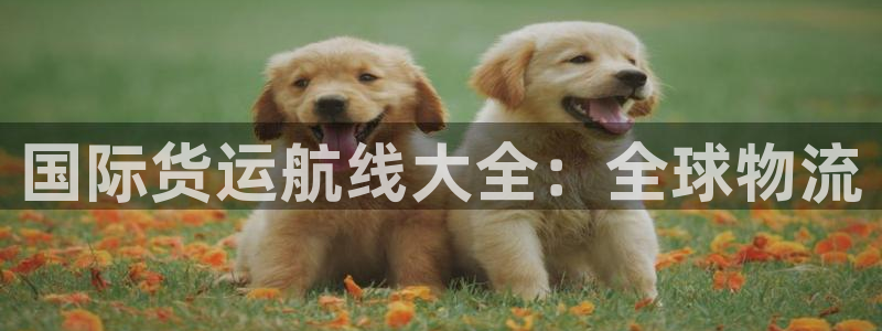 尊龙app最新版本官网：国际货运航线大全：全球物流