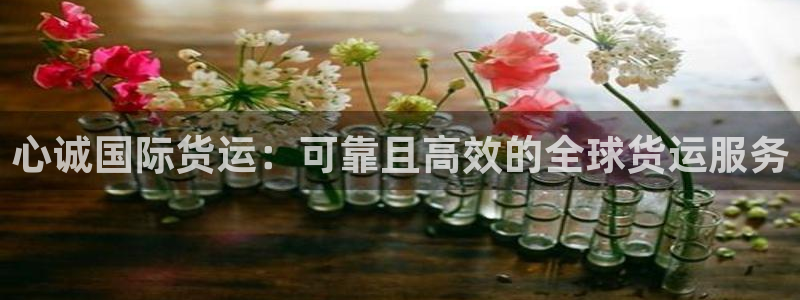 尊龙个人资料简介：心诚国际货运：可靠且高效的全球货运服务