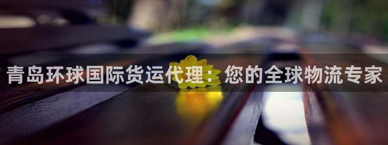 旧版尊龙人生就是博下载：青岛环球国际货运代理：您的全球物