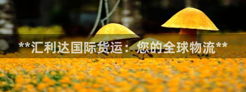 尊龙凯时人生就是搏官：**汇利达国际货运：您的全球物流*