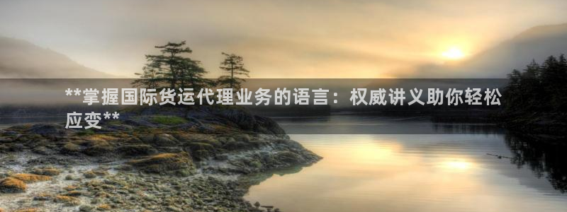 尊龙人生就是博客服：**掌握国际货运代理业务的语言：权威
