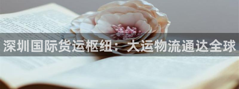 尊龙人生就是博官网登录手机：深圳国际货运枢纽：大运物流通