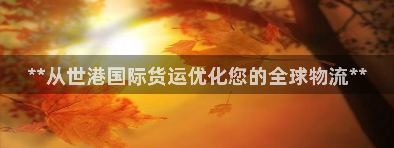 尊龙新版app首页：**从世港国际货运优化您的全球物流*