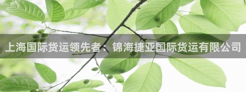 尊龙凯时产品种类：上海国际货运领先者：锦海捷亚国际货运有