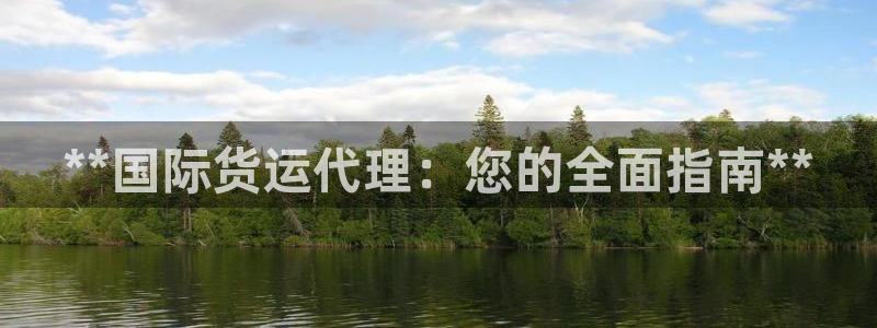 尊龙凯时官网入口：**国际货运代理：您的全面指南**