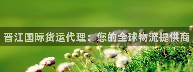 z6com尊龙：晋江国际货运代理：您的全球物流提供商