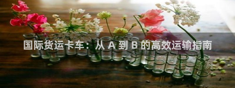 尊龙400：国际货运卡车：从 A 到 B 的高效运输指南