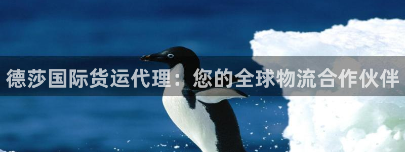 尊龙集团：德莎国际货运代理：您的全球物流合作伙伴