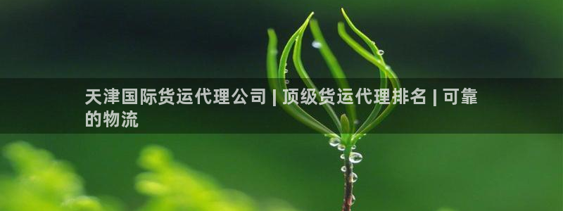 尊龙凯时代理官网入口：天津国际货运代理公司 | 顶级货运