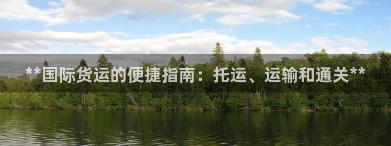 尊龙d88官网登录苹果版下载：**国际货运的便捷指南：托