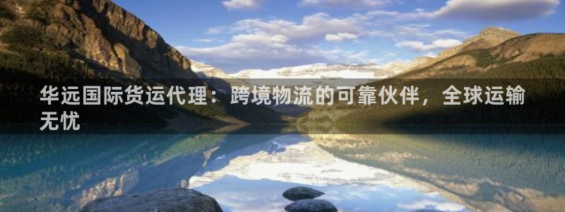 尊龙专访视频：华远国际货运代理：跨境物流的可靠伙伴，全球