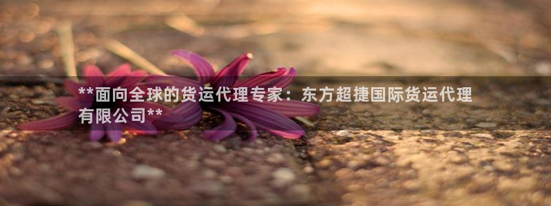 尊龙凯时ag旗舰厅官方网站：**面向全球的货运代理专家：