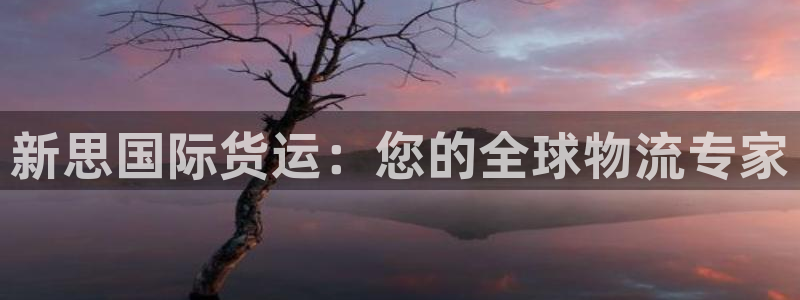 尊龙d88手机版下载