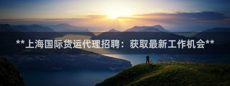 尊龙体育正规么：**上海国际货运代理招聘：获取最新工作机