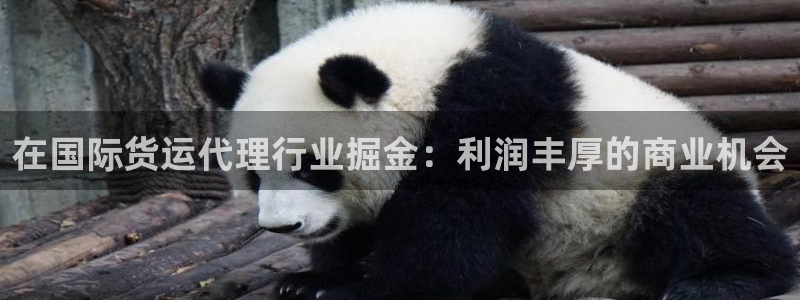 尊龙凯时网站赌愽是真的吗：在国际货运代理行业掘金：利润丰