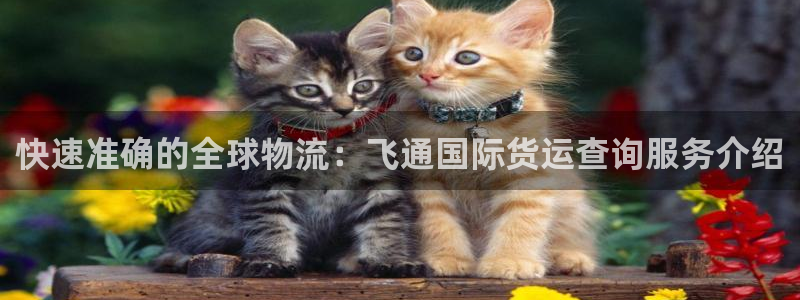 尊龙,人生就是博!登录国际