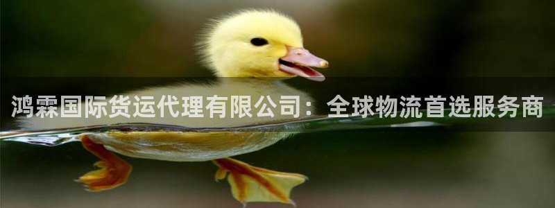 尊龙ag旗舰