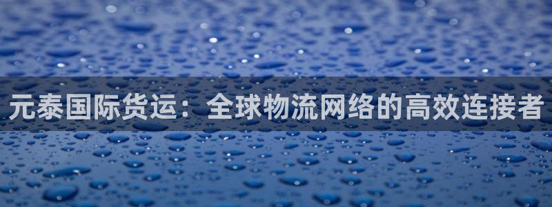 尊龙官网免费下载安装