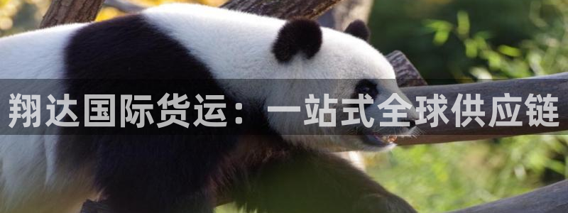 尊龙凯时人生就是搏 品牌专区