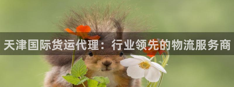 尊龙凯时请求参数不符合