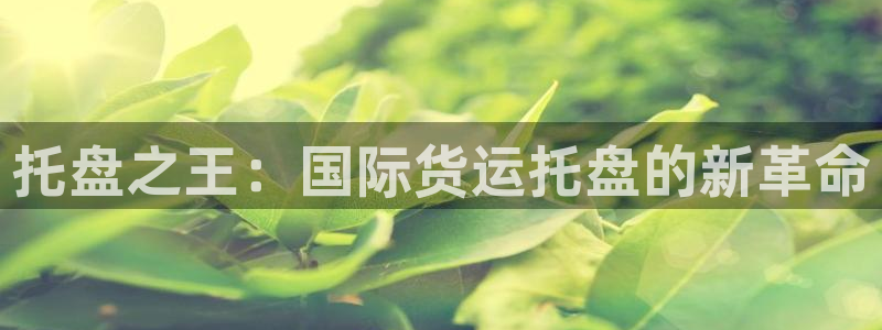 尊龙凯时代理能提出来不