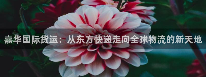 尊龙凯时登陆入口