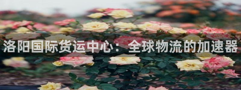 尊龙人生就是博菲律宾台子
