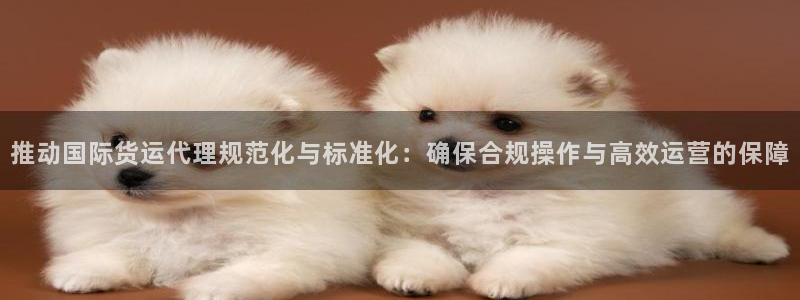 尊龙官网APP下载