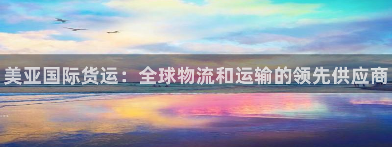 尊龙凯时是直营吗：美亚国际货运：全球物流和运输的领先供应