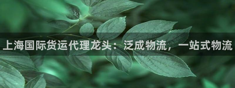 尊龙凯时人生就是搏·(中国)官网：上海国际货运代理龙头：