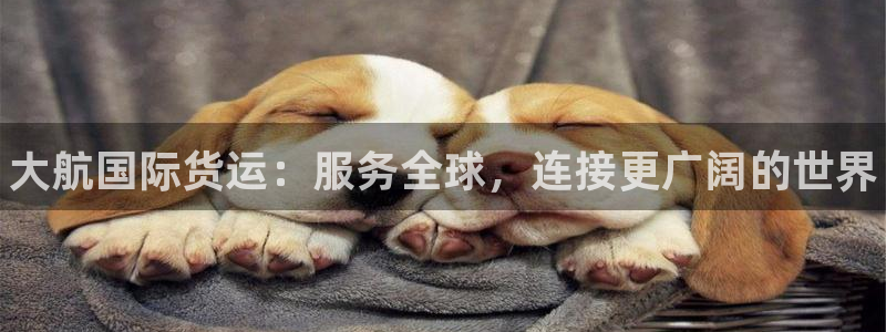 尊龙z6官网ag