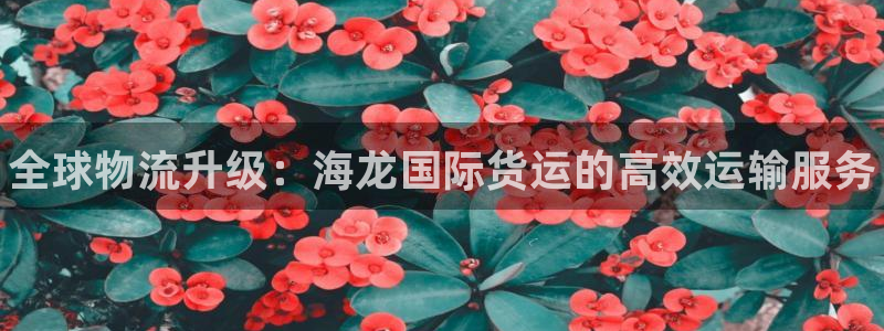 尊龙游戏官网