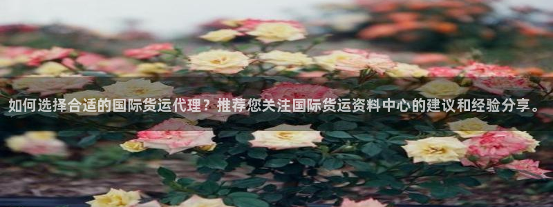 尊龙凯时 - 人生就是搏!提款怎么样