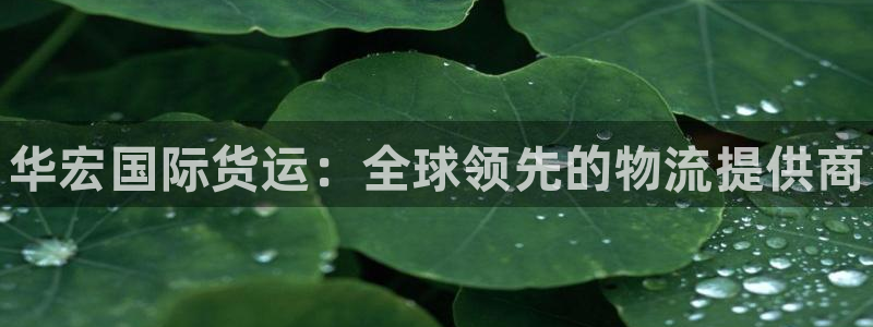 尊龙人生就是博下载：华宏国际货运：全球领先的物流提供商