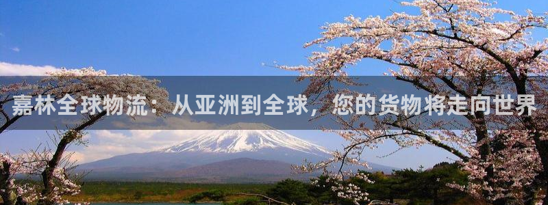 尊龙凯时平台入口