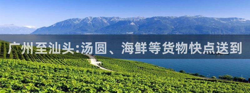 尊龙凯时是直营吗