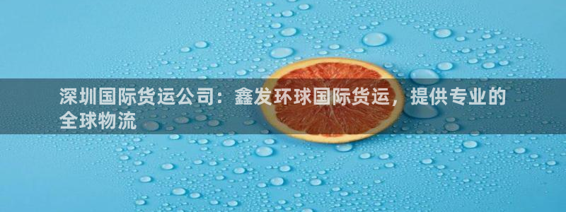 尊龙凯时人生就是搏技术实力：深圳国际货运公司：鑫发环球国