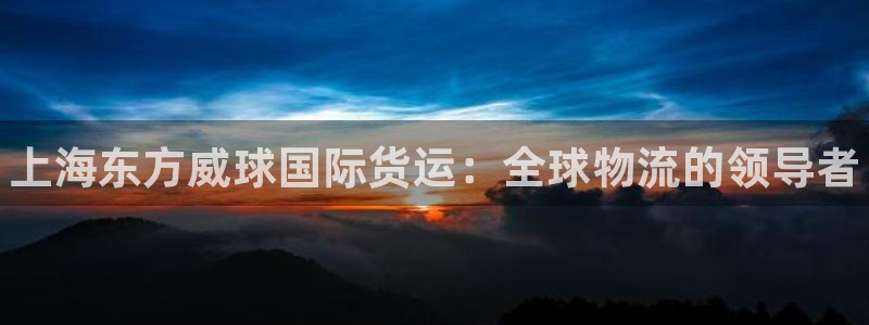 尊龙-人生就是博!：上海东方威球国际货运：全球物流的领导