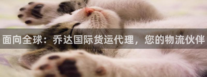 尊龙凯时人生就是搏官方网站：面向全球：乔达国际货运代理，