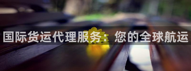 尊龙凯时请求参数不符合：国际货运代理服务：您的全球航运