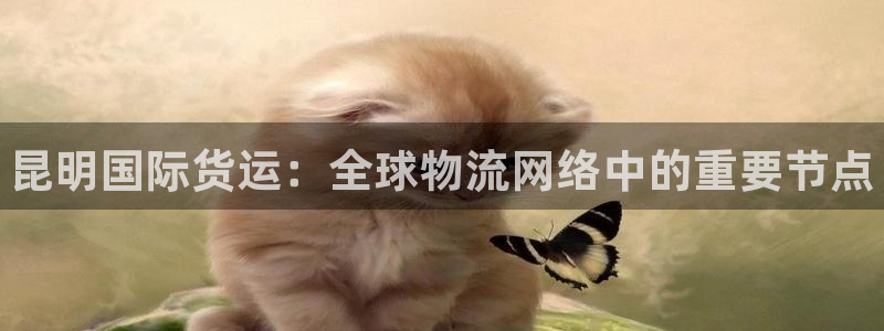 尊龙集团有限公司招聘