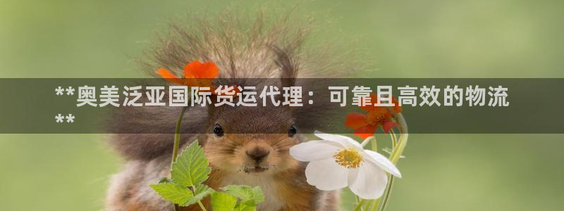 尊龙体育游戏平台：**奥美泛亚国际货运代理：可靠且高效的