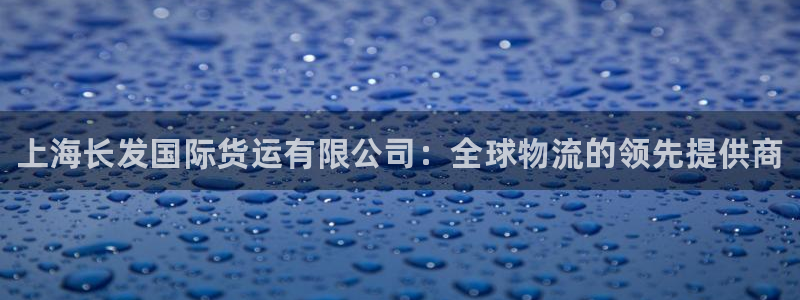 尊龙凯时登陆：上海长发国际货运有限公司：全球物流的领先提