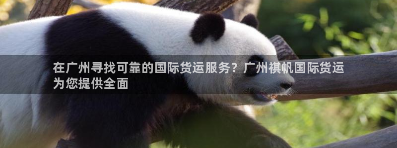 尊龙d88现金关注ag发财网：在广州寻找可靠的国际货运服