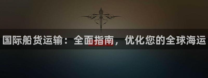 尊龙165：国际船货运输：全面指南，优化您的全球海运
