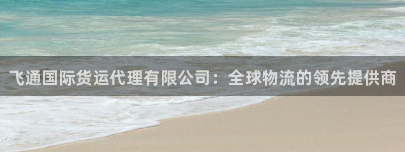 z6com尊龙凯时代理：飞通国际货运代理有限公司：全球物