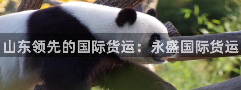 尊龙app官网\\直接访问agbaofu.wang|ag